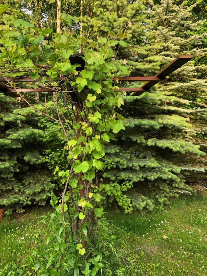Agroturystyka Czekaj Przy Suntago Lublinow Экстерьер фото
